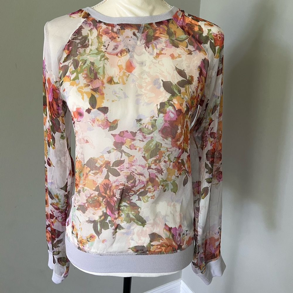 The Limited Sheer Sweatshirt Blouse